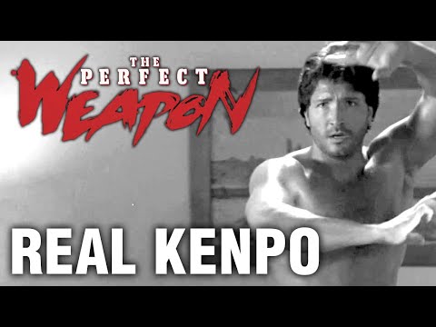 How REAL Kenpo was used in "The Perfect Weapon" (with Jeff Speakman)