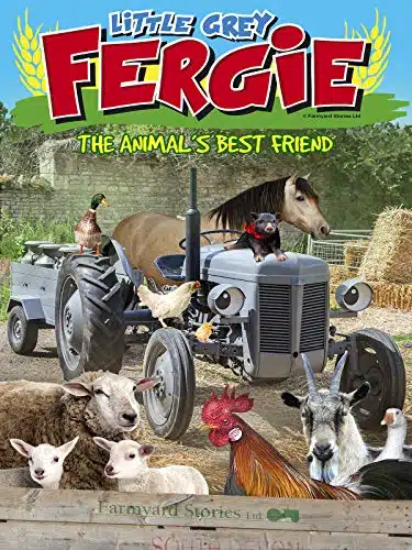 Little Grey Fergie The Animal's Best Friend
